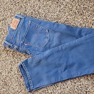 314 Shaping Straight Levi's